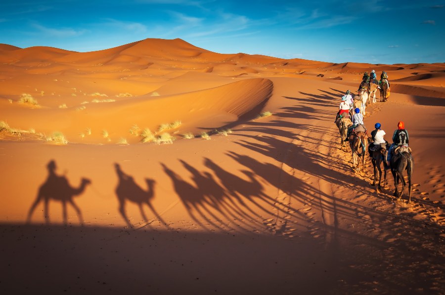 shadows of people riding camels in the desert