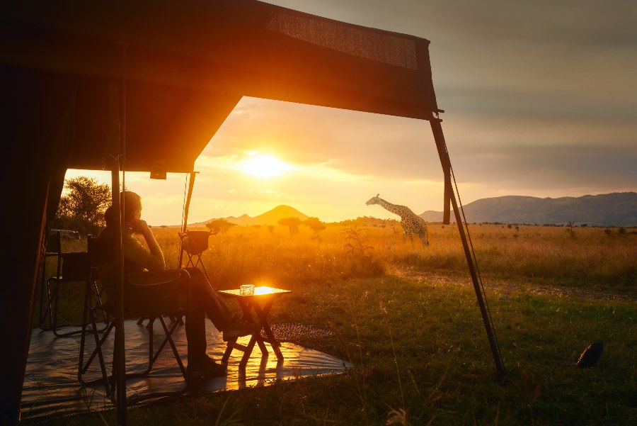 How ecotourism impacts the enviroment with african safari sunset and giraffe 